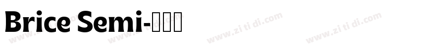 Brice Semi字体转换